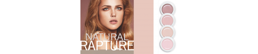 All-in-One Performance