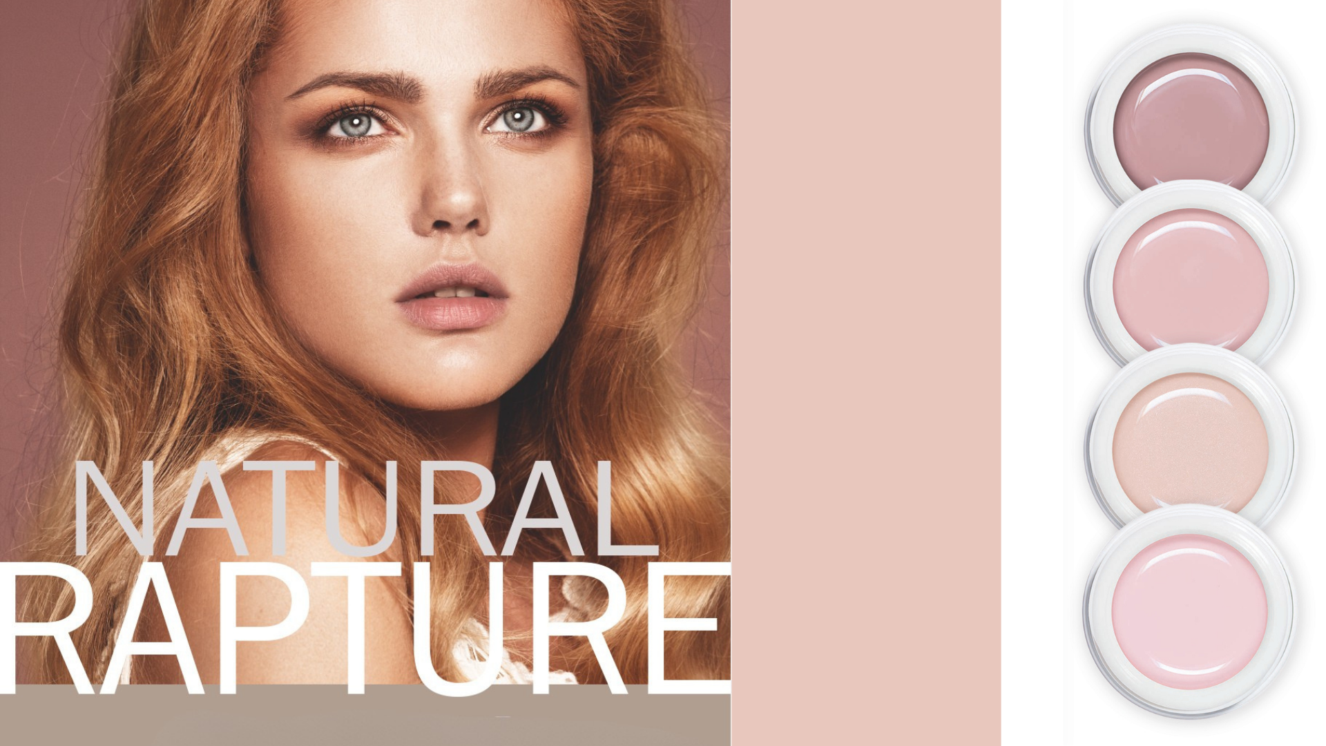 All-in-One Performance